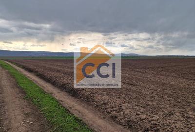 Teren 10,000mp Bacau / Strada Alexandru Safran - 13
