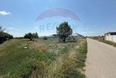 De vanzare | Teren rezidential pt dezvoltare | Tamasi - Crinului - 2