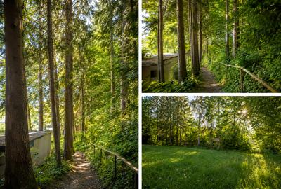 Vilă într-o oază de natură din centrul Brașovului | 180 mp | Teren 360 mp - 1