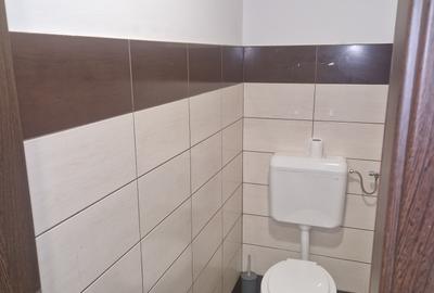 Spațiu cu vitrina ultracentral, Cisnadie - 12