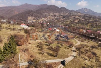 Teren intravilan 5.105 mp, Baia Sprie, la intrare pe Valea Chiuzbăii - 3