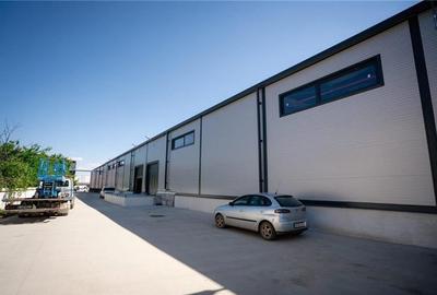 Inchiriere depozit/hala/spatiu industrial/showroom Afumati - Doraly - DN2, ILFOV - 7