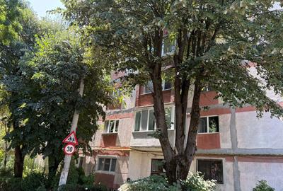 OCAZIE! Vând apartament in Timisoara, foarte bine poziționat - 1