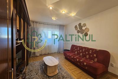 Apartament 2 camere, Sibiu, central - 13