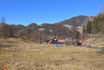 Teren la munte în Bucovina - 3