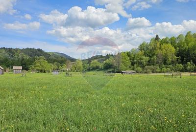 Teren intravilan 9,010mp Campulung Moldovenesc / Calea Bucovinei, SV - 11