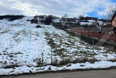 Teren Construcții intravilan de 2834 mp, în Sâncraiu de Mureș