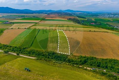 Oportunitate pentru fermieri: 10.800 mp teren arabil în Rotbav, Brașov - 5