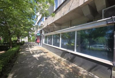 Birou, de 180 mp, în Craiovița Nouă