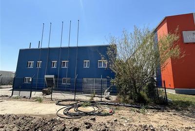 Vanzare depozit/hala/spatiu industrial Domnesti - Clinceni - Bragadiru - Centura - 4