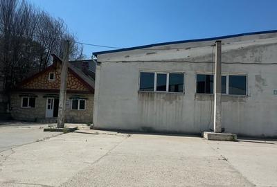 Hala industriala - Ovidiu - Acces A2 - 380.000 euro (Cod E8+E10) - 14