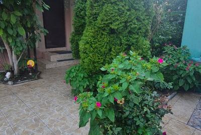 Casa de vanzare navodari - 7