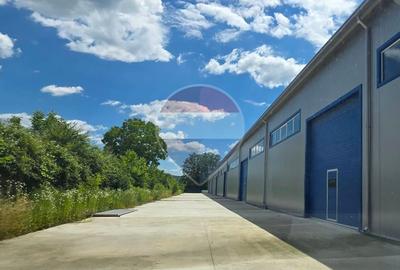 Hala industriala noua de inchiriat 9700 MP 600 KVA pret tva inclus - 13