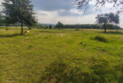Casă individuală cu 3 camere în Exterior Nord