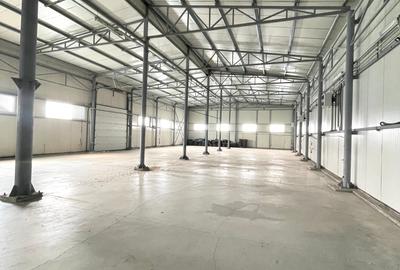 Spațiu industrial, 870 mp în Pantelimon