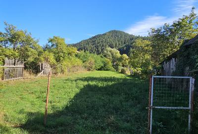 O casă nouă,teren generos și locul în care planurile de mâine pot începe astazi - 4