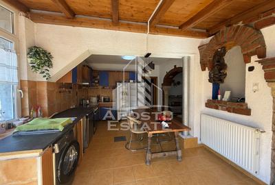 Casa individuala de vanzare cu proiect de extindere, zona Lunei - 9