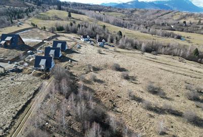 Proprietar, vand teren pt. case de vacanta (20.301mp) Rasnov, Brasov - 4