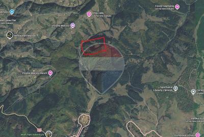 Teren Poiana Marului, 2053mp,  741mp si 3906mp inconjurat de padure - 8