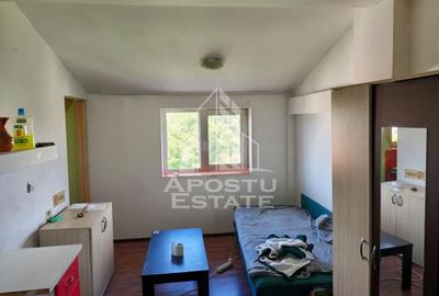 Garsonieră nedecomandată, mobilată în Buziașului