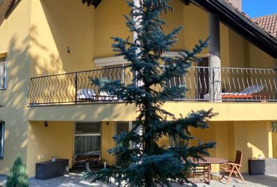 Vand casa in Deva, D+P+M, zona ultracentrala (la 600 metri de Casa de Cultura), - 1