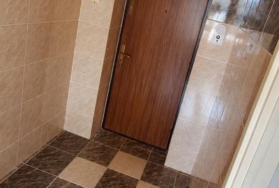 2 camere - Pajura - Faurei - 6