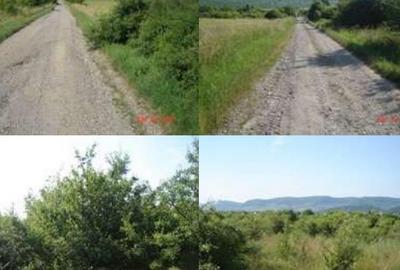 Teren agricol extravilan de 5800 mp, în Șieu-Măgheruș