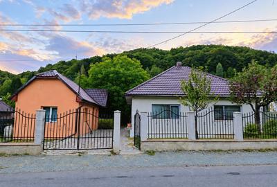 Casă individuală cu 2 camere în Ferneziu