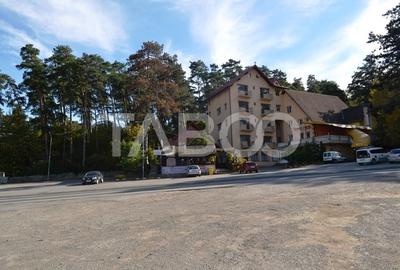 Pensiune de vanzare in Talmaciu judetul Sibiu renovata cu 26 camere - 3