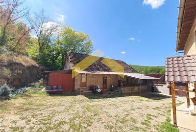 Casa de vanzare localitatea Cladova, judetul Arad - 15