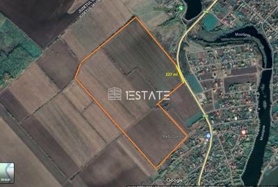 Teren intravilan, 40 ha, pretabil parc fotovoltaic /logistic - 29km de Bucuresti - 4