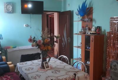 Casa in Finta sat Bechinesti - 9