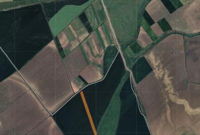 Teren agricol extravilan de 15000 mp, în Vedea
