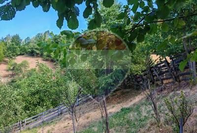 Cabană de vânzare în satul Plopi, Valea Ierii, județul Cluj - 13