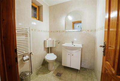 Domeniu de vanzare | 2 Case | Teren 5800 mp | Bucsoaia, C-5511 - 10