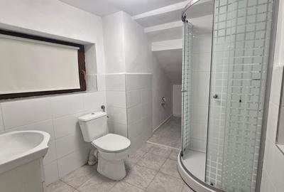 Apartament la casa de inchiriat 3 camere Cisnadie - 4