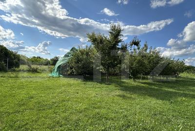 Proprietate specială Câmpia Turzii: Vilă 280 mp, cu teren 1450 mp - 6