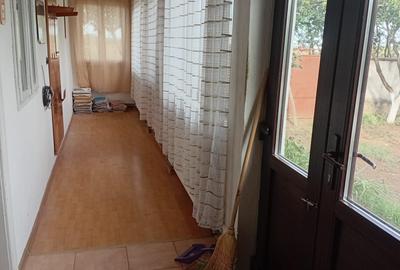 Vanzare Casa in localitatea Bodrogu Nou - 9