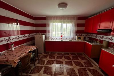 De vanzare, casa + teren 2000mp sat. Calienii Noi - 9