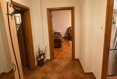 Apartament3 Camere Decomandat, Renovat Integral - Decebal – Piața Alba Iulia - 8