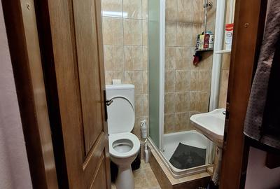 !! 3 Camere model mare.. zona Timocului-A. Saguna vedere spre Bega - 15