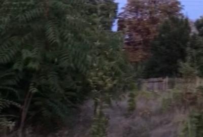 Ideal pt casă - Teren intravilan fără construcții - 3