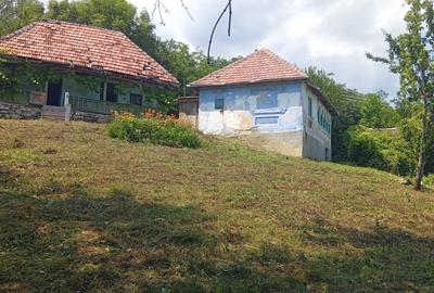 Casă bătrânească plus teren 9515 mp. Sălătrucel sat Serbănesti - 2