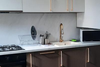 APARTAMENT  LA CASA  -PARTER  CU CURTE - 13