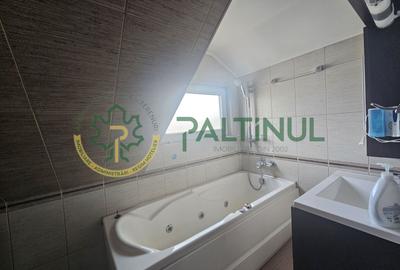 Apartament de închiriat,  3 camere, 2 bai, Terezian, Sibiu - 12