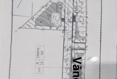 Teren intravilan Bucium Iași – plan doi, 55 ml deschidere, drum privat 7 m - 4
