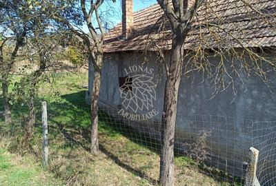 Casa 60 mp-teren 1044 mp-magazie, grajd, fanar-Teaca, 32km de Bistrita - 6