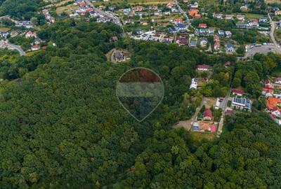 Teren cu suprafata de 10.000 mp I Faget - 6