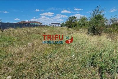 Teren Construcții intravilan de 706 mp, în Ampoi 1