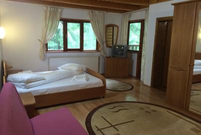 Vanzare cabana intr o zona de vis Petrosani Cheile Jietului - 11